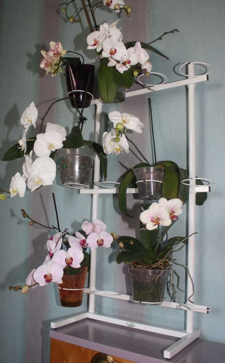 Стеллаж для орхидей