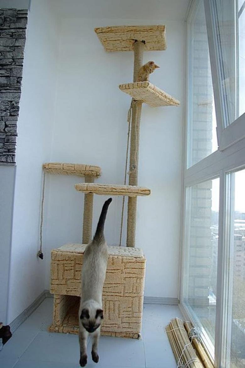 Самодельный кошачий домик
