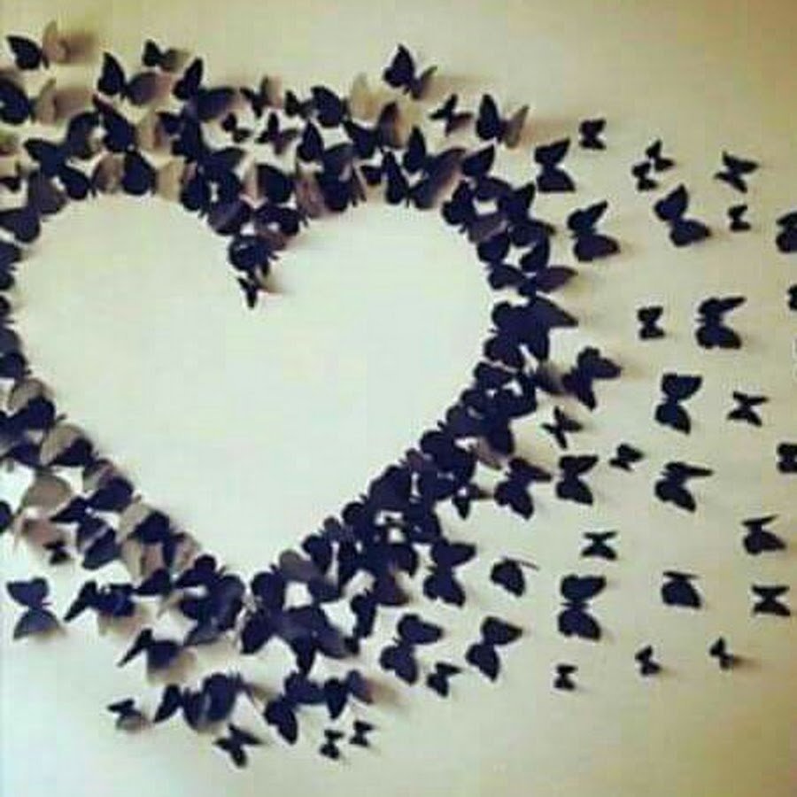 Сердце из бабочек на стене