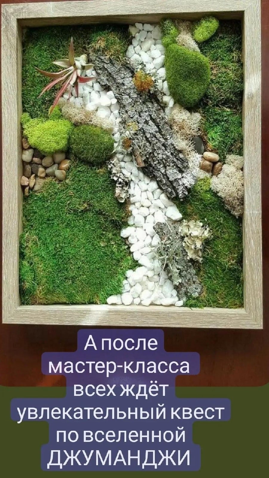 Композиции из мха