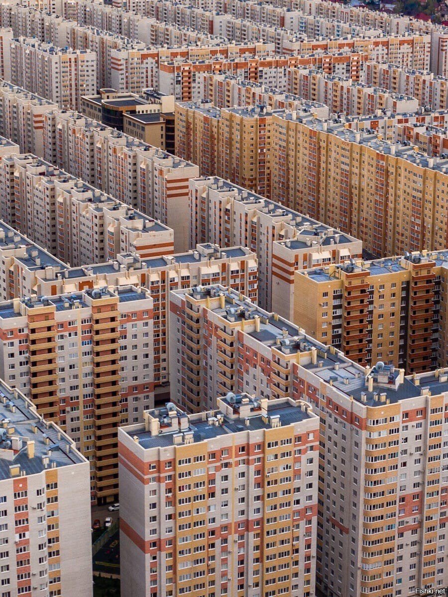 Мурино человейник