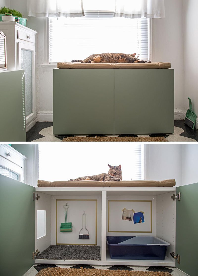 Кошачий туалет в шкафу