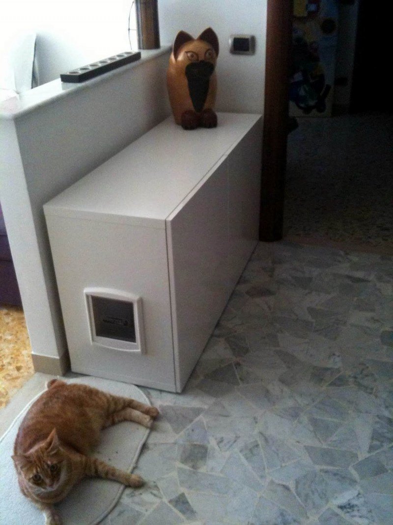 Спрятать лоток для кошки