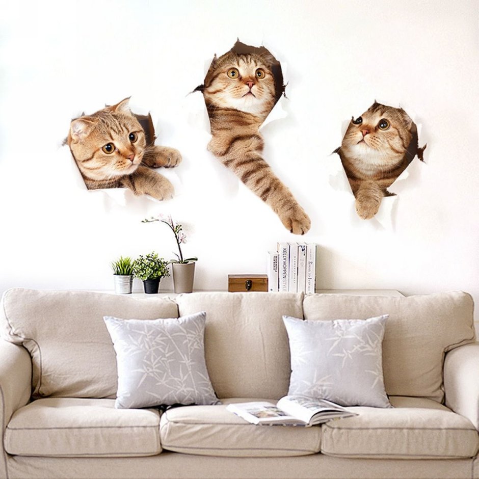 Котики на стене