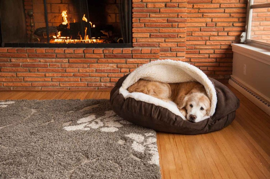 Лежак Luxury cozy Dog