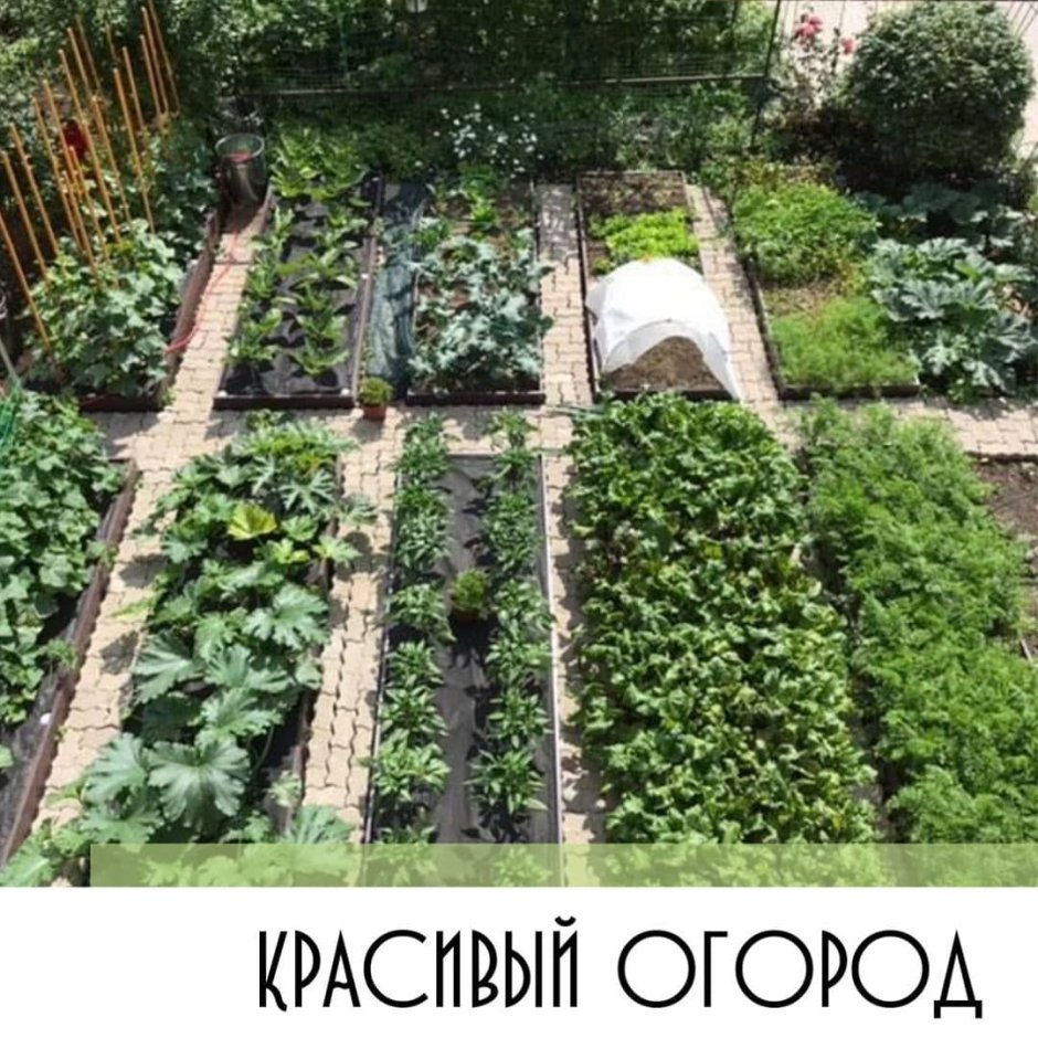 Красивые грядки без ограждений