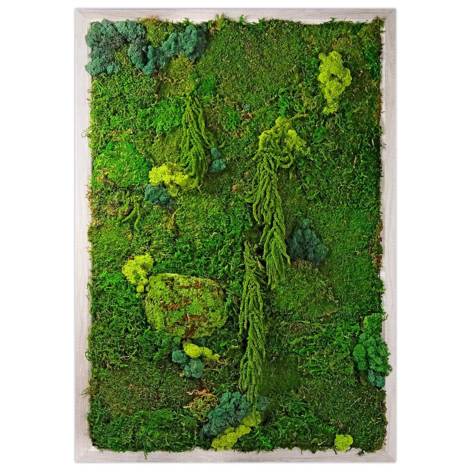 Картина из мха большая