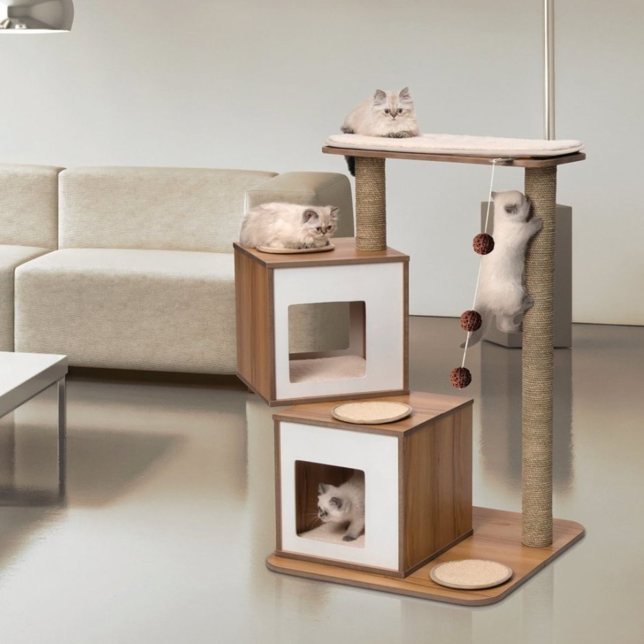 Дизайнерские кошачьи домики