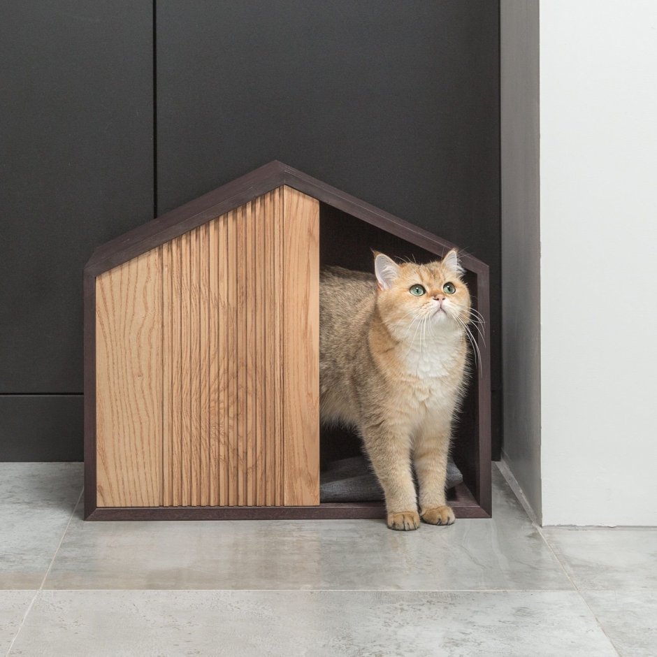 Дизайнерский дом для кота