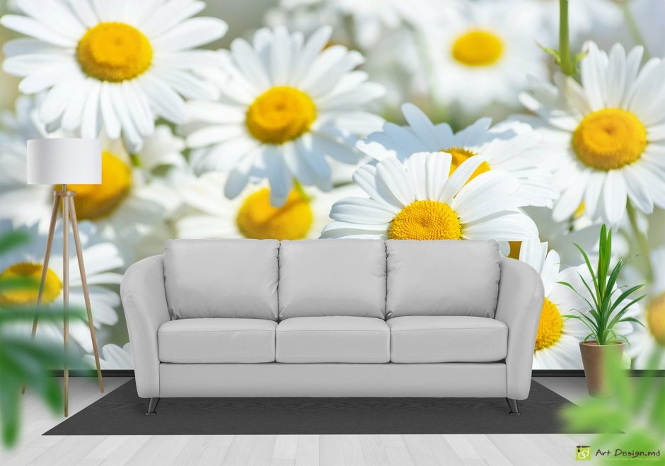 Ромашки на стене