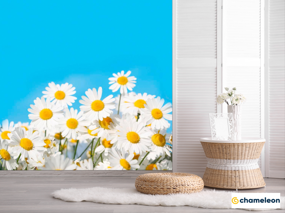 Обои с ромашками для кухни