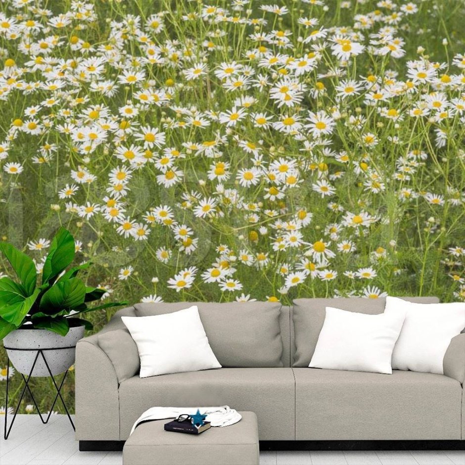 Ромашки в интерьере