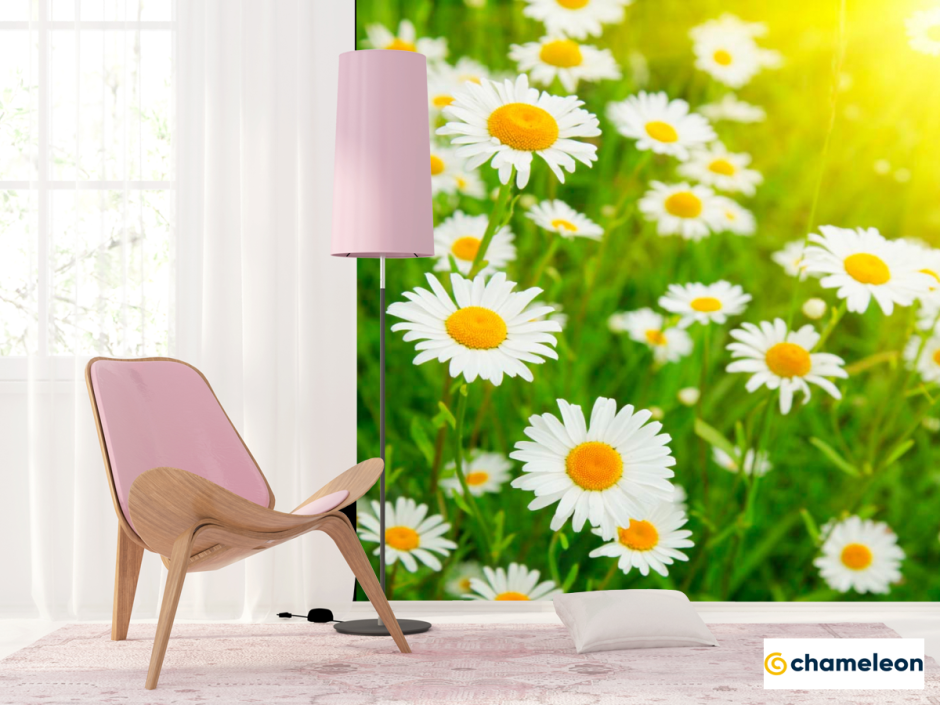 Обои с ромашками для кухни