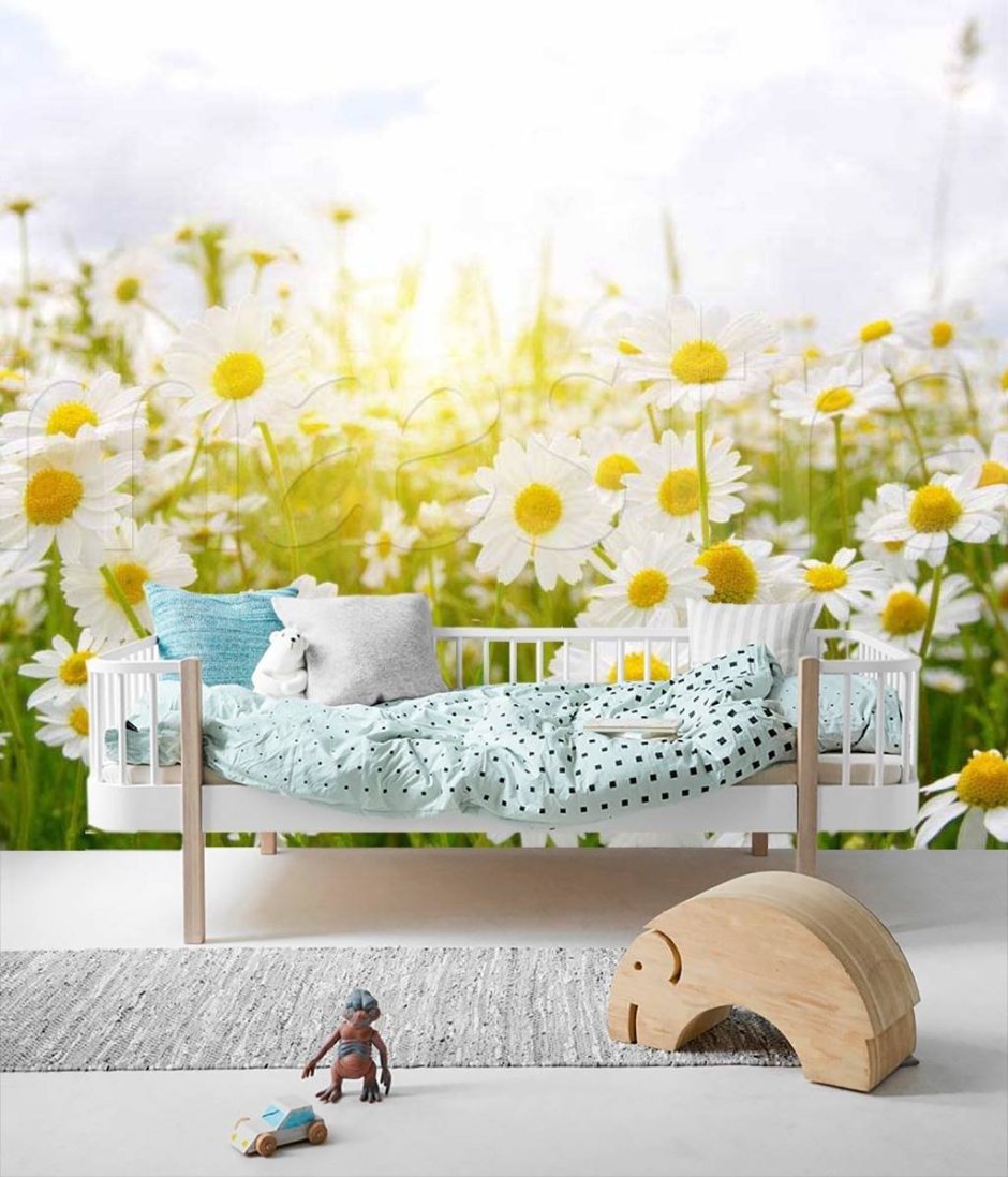 Ромашки в интерьере