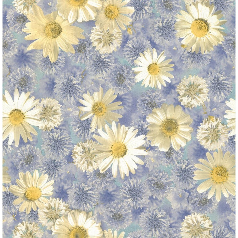 Элизиум 94804