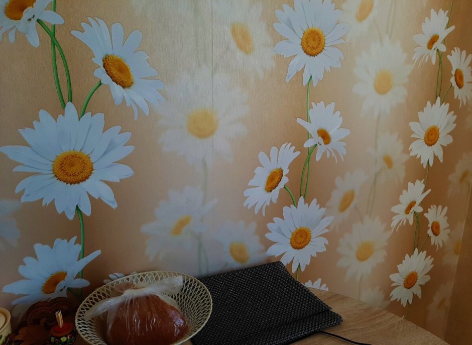 Обои в ромашку для комнаты