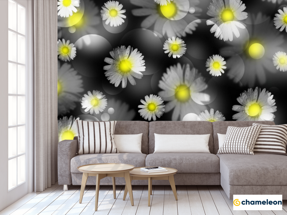 Ромашки на черной стене