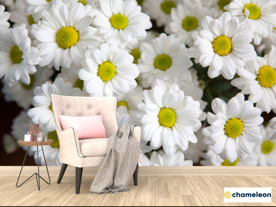 Обои с ромашками в интерьере