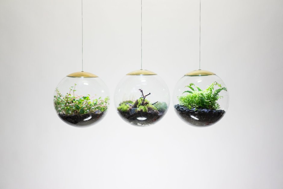Atelier Schroeter светильник с растениями