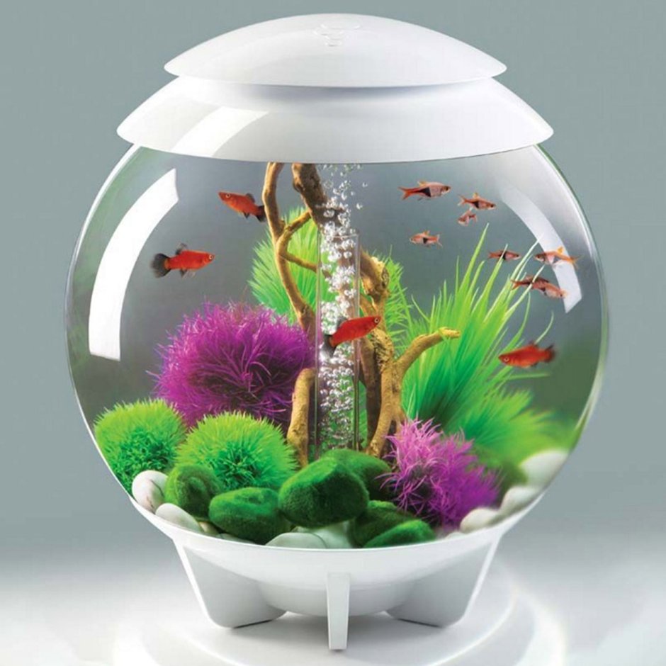 BIORB аквариум