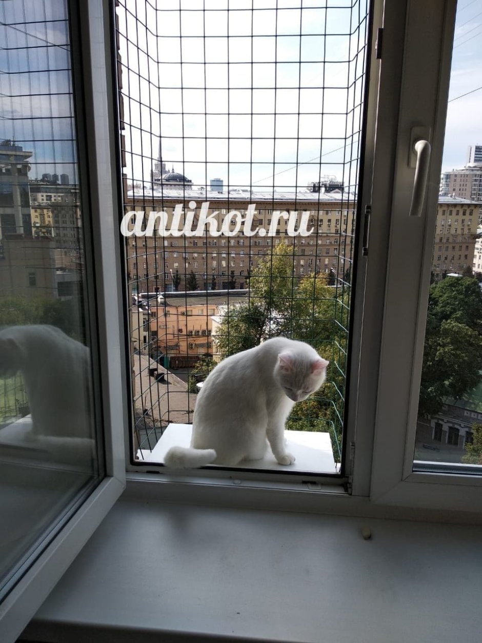 Балкончик для кошки на окно