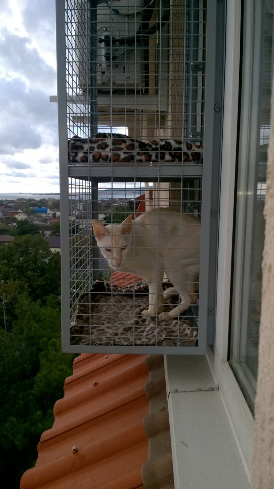 Кошачий балкончик на окно