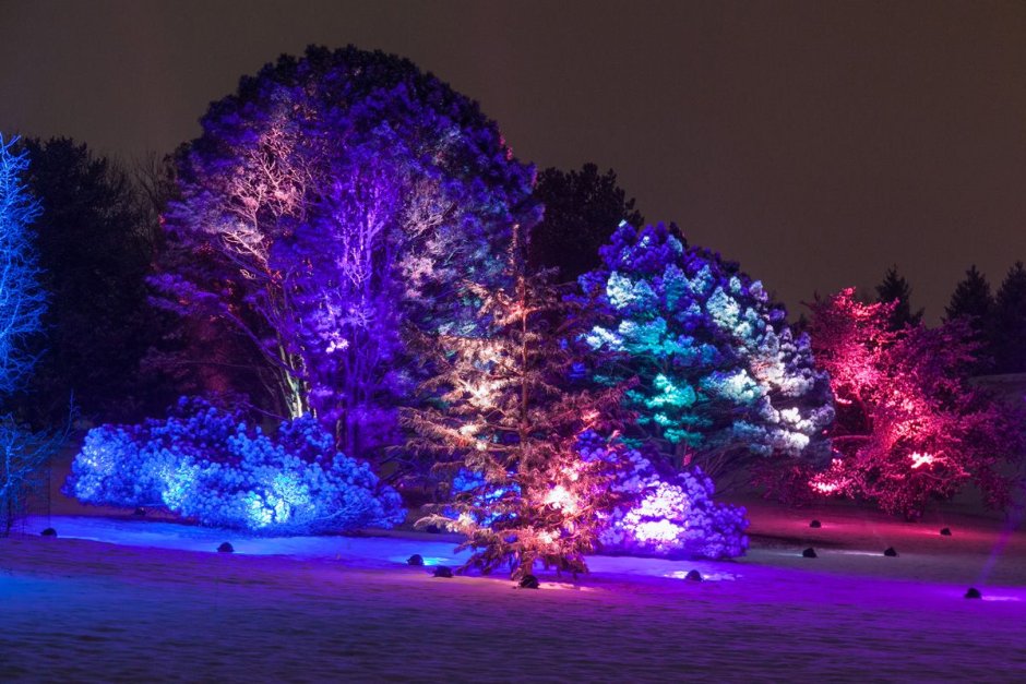 Новогодняя подсветка деревьев