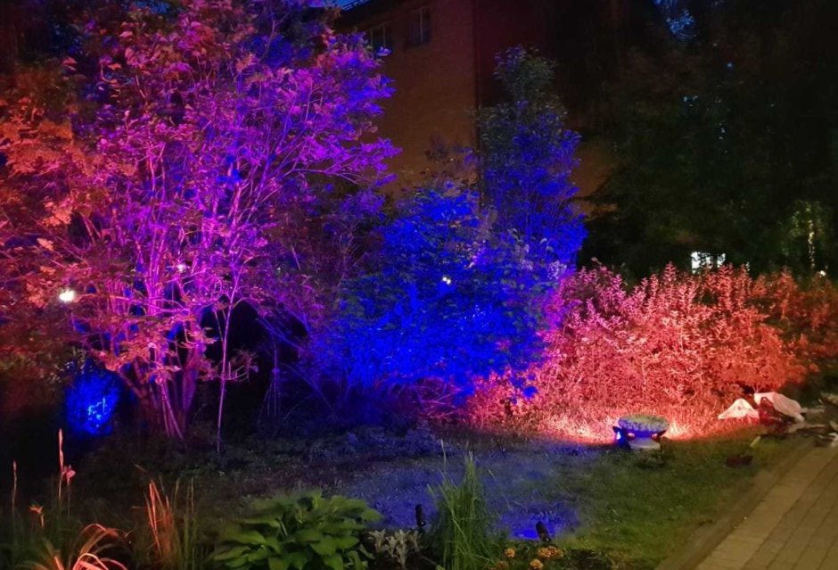 Декоративная подсветка деревьев