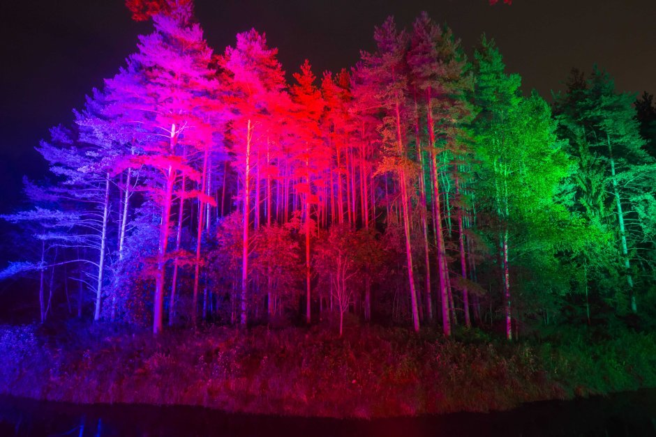 Подсветка деревьев RGB