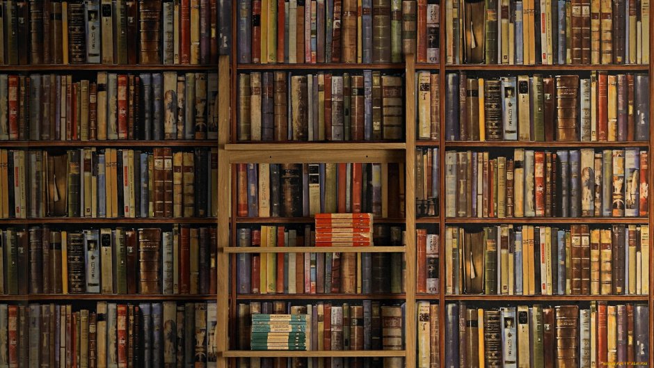 Книжная полка с книгами