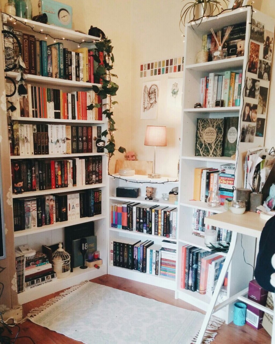Книжная комната Эстетика
