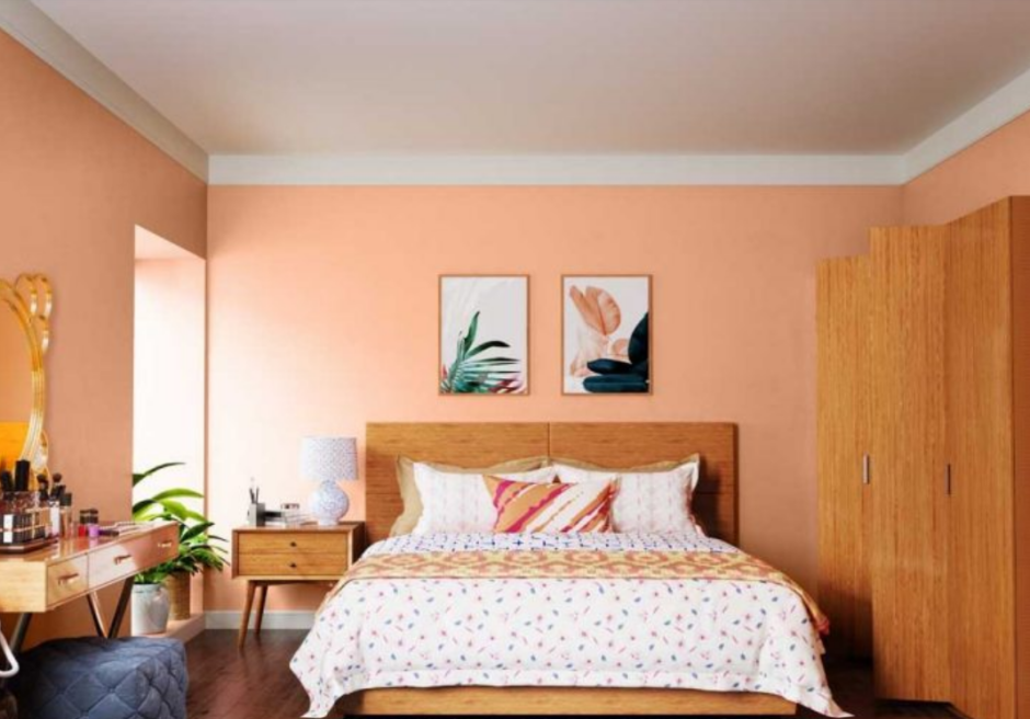 Other Walls are painted a Soft Orange Shade