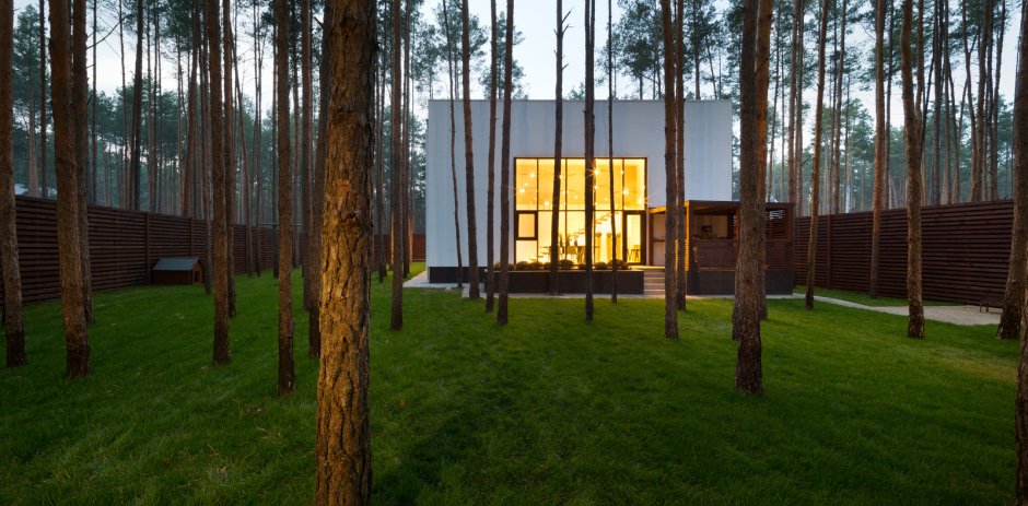 Дом в Сосновом лесу