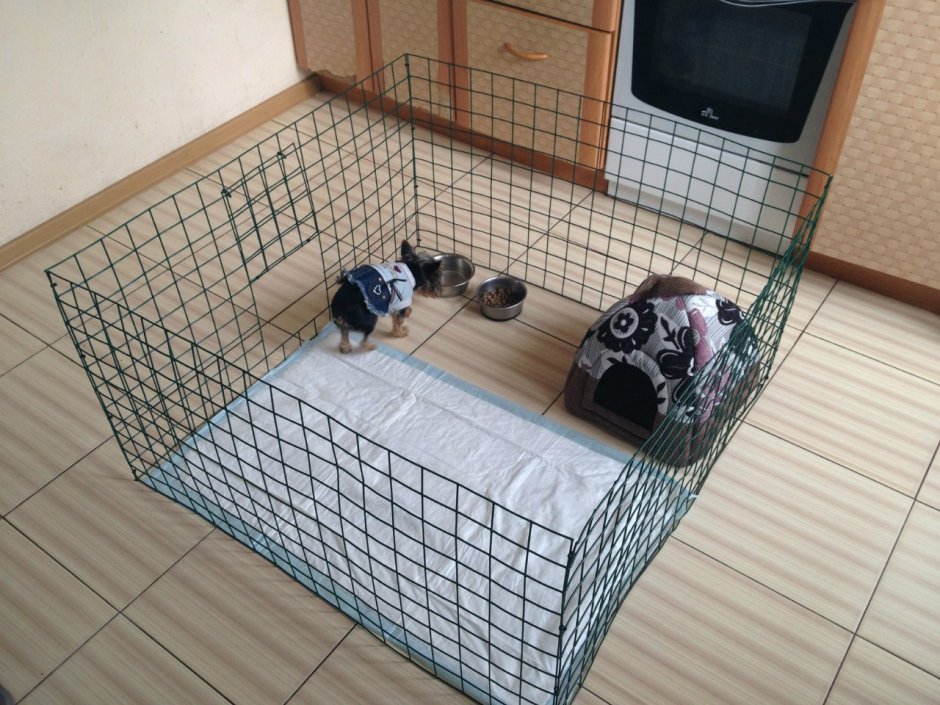 Клетка загон для собак