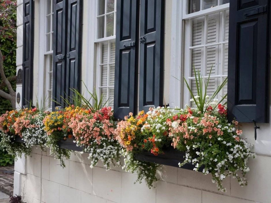 Балконные ящики с цветами
