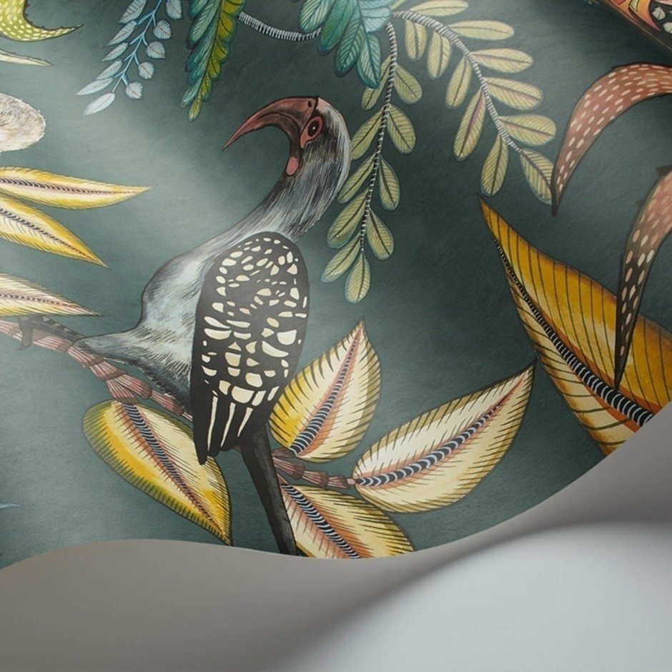 Cole & son, коллекция the Ardmore collection