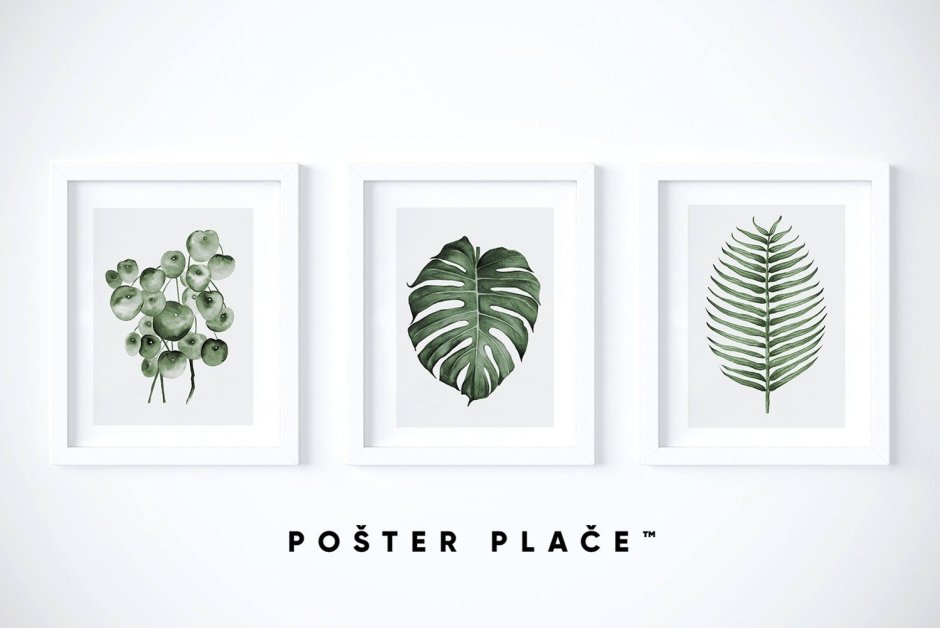 Постеры в скандинавском стиле листья