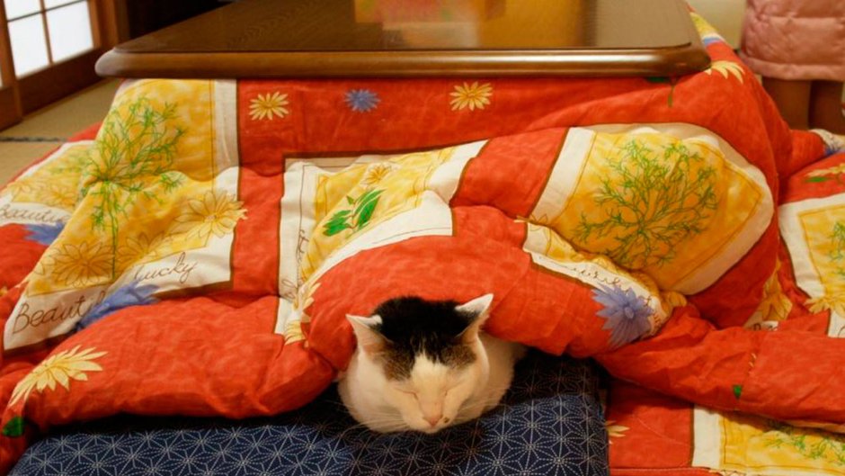 Японская кровать котацу