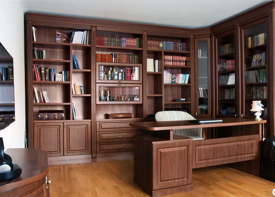 Книжные шкафы для домашней библиотеки