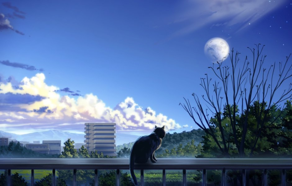 Кошачий город аниме