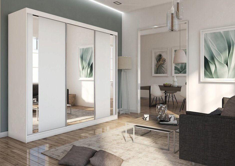 Шкаф купе Sumatra