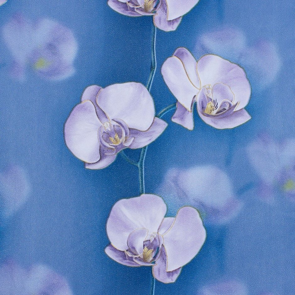 Бумажные обои для стен с орхидеями