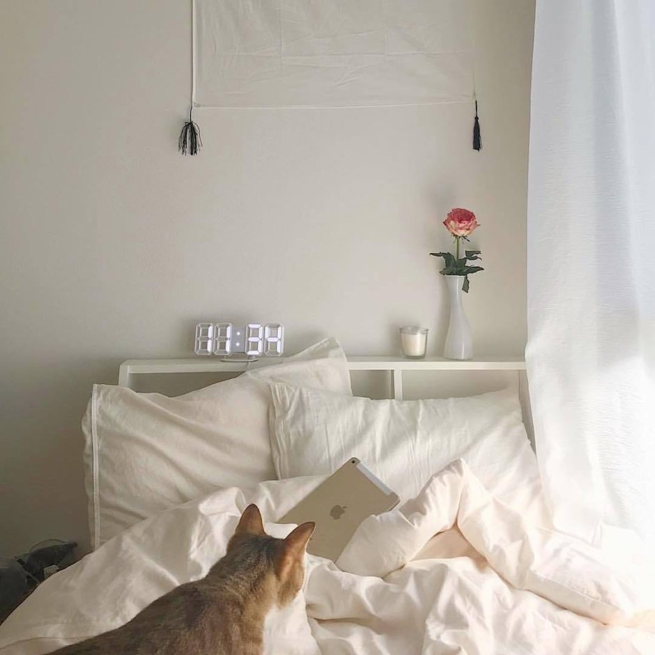 White Cat aesthetic
