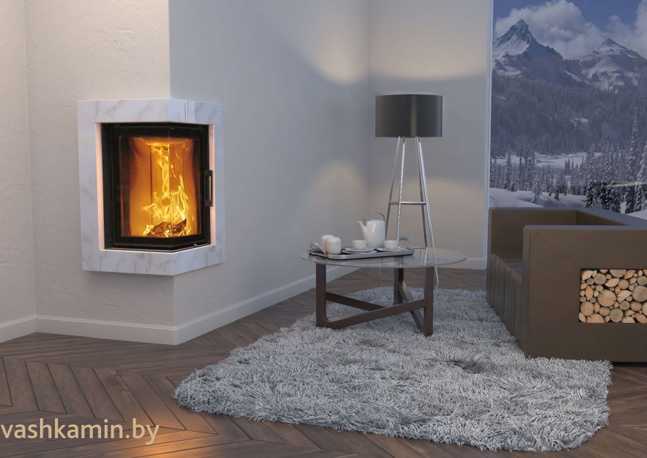 Дровяная топка Austroflamm 55x55x68k