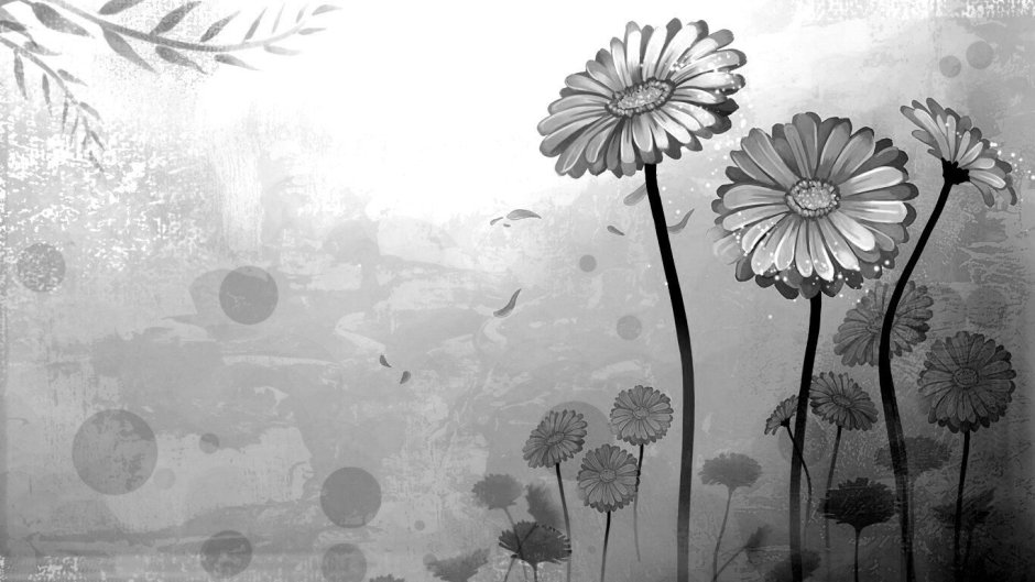 Обои с ромашками рисунок