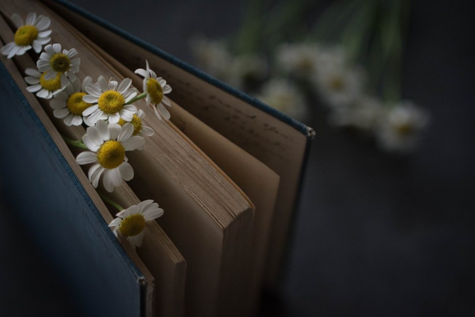 Эстетика книги и цветы