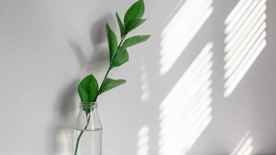 Эстетический Минимализм