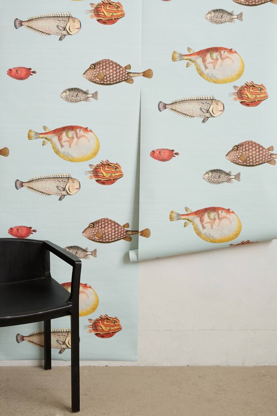 Cole and son Acquario