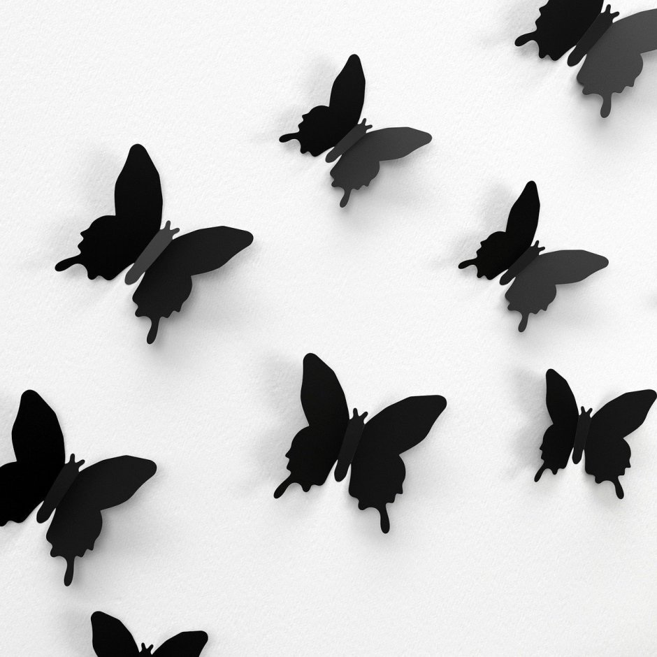 Бабочки на стену черно белые