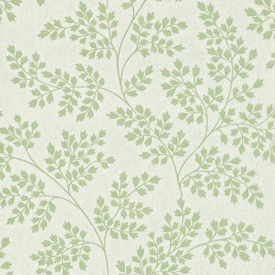 Обои Sanderson Caverley dcavco